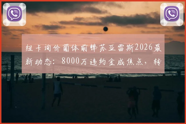 纽卡询价葡体前锋苏亚雷斯2026最新动态:8000万违约金成焦点,转会进展与球员分析全解读